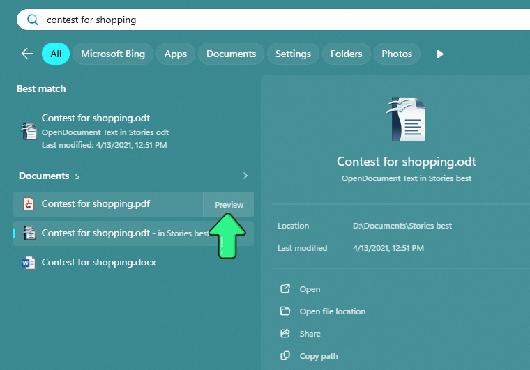Windows 11 taskbar search preview showing file details and open file location