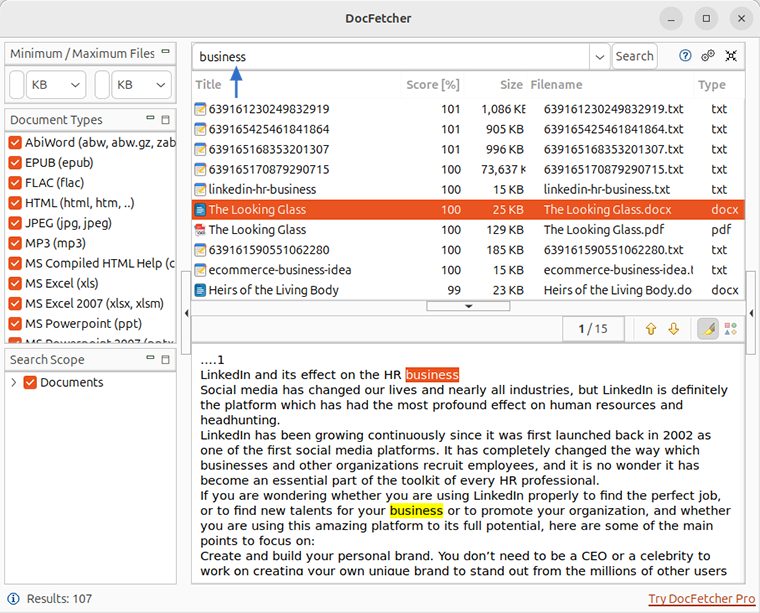DocFetcher search results for business with a matching document preview on Linux